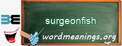 WordMeaning blackboard for surgeonfish